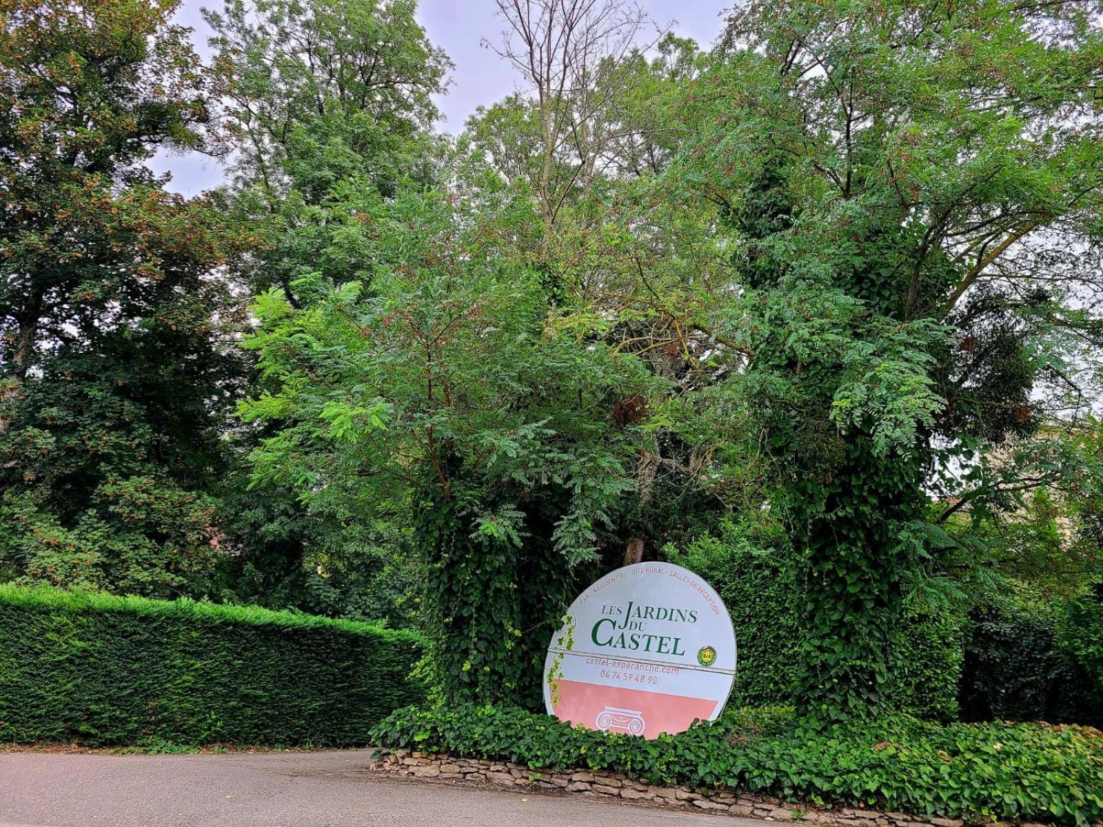 Les Jardins Du Castel Gites Annick Et Jean Paul Saint-Georges-d'Esperanche エクステリア 写真